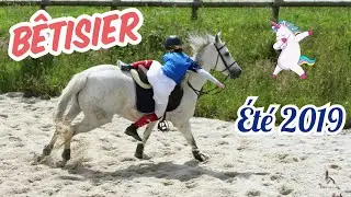 BÊTISIER ÉQUESTRE | ÉTÉ 2019