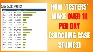 Profit Singularity Ultra Edition Shocking Case Studies (Zero to $1k+ Per Day)