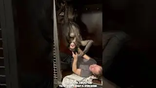 Шимпанзе vs Человек! Слабонервным Не Смотреть!!!
