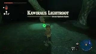The Legend of Zelda: Tears of the Kingdom - Part 110 | Kawiraus Lightroot |