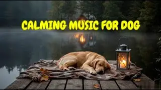 Separation Anxiety Relief Sleep Aid for Dogs 🐶💤 | 12 HOURS of Soothing Night Therapy for Pets