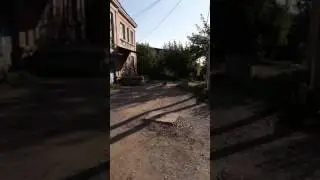 Кошачьи бои.