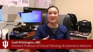 Diversity, Equity and Inclusion in the Department of Pathology and Laboratory Medicine