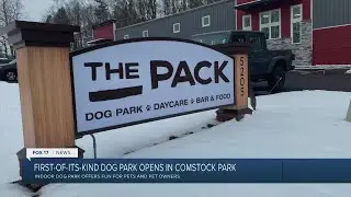 The Pack Indoor Dog Park Opens