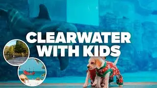 CLEARWATER WITH KIDS! Best Things to Do and Family Fun!