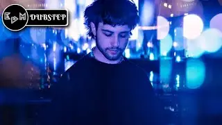 David Kushner - Daylight (NEOTEK Flip) | [PREMIERE]