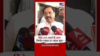 Sunil Tatkare | 'Eknath Shinde, Raj Thackeray यांनी काय निर्णय घ्यावा हा त्यांचा मुद्दा'