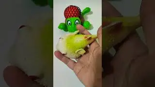 trending quishy fish 🐠🐟😍 #viral #shortsviral #squishy #fidget #softtoys #ytshorts