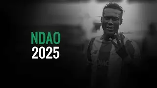 Alassane Ndao | Skills, Goals, Assists | Konyaspor | 2025