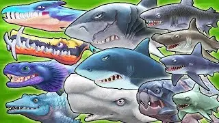 ALL MAX LEVEL 10 SHARKS UNLOCKED!!! (HUNGRY SHARK EVOLUTION)