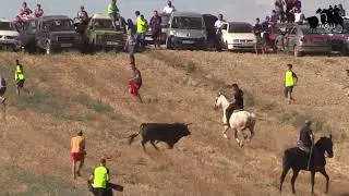 VILLAFRECHOS: ENCIERRO CAMPERO 29-7-2023 (video corto)