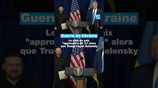 Ukraine : le plan de paix 