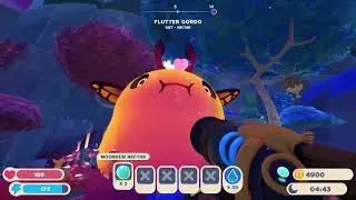 Clip: Slime rancher 2 - pop goes flutter Gordo