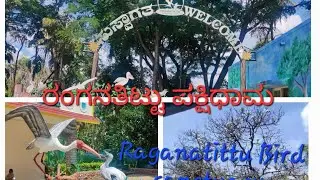 Wonderful  Bird 🐦 sanctuary Don't miss it, Raganatittu  Birdsanctuary Near Mysore Pandavapura Mandya
