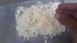BENEFITS OF BOILED RICE FOR BIRDS IN URDU/ HINDI