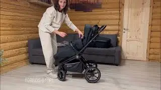Коляска Labala Raiz 2023 Lite Line (черная рама)