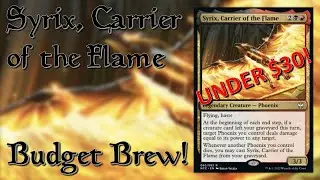 Syrix, carrier of the flame - $30 budget brew!