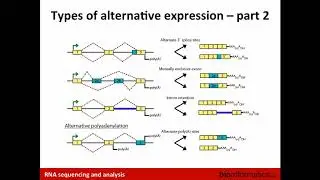 Isoform Discovery and Alternative Expression