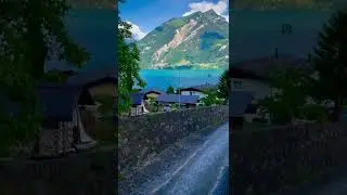 Life is on #life #forest #lifeison #nature #pleasentmusic  #short #pleasent #viral #sweetnature