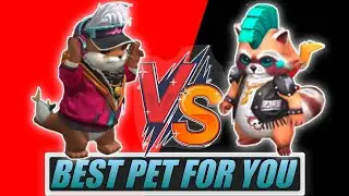 ROCKIE VS OTTERO || Best pet for YOU || Best pet in free fire || Rockie pet VS Ottero pet ability !!