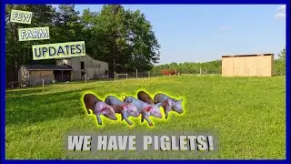 There is ALOT going on around the FARM