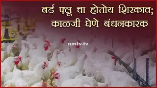 Bird Flu scare puts states on 'High Alert' in backdrop of COVID-19 pandemic