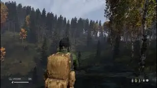 Bag the stag