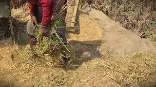 Efficient Farming: The Best Way to Sort Your Grain _FarmersLife _Shorts