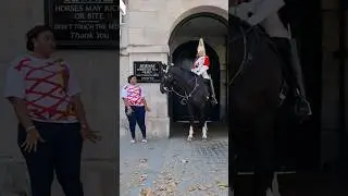 Cute Moments at Horse Guards #thekingsguard #cute #momentsofmine #horse #horseguardsparade