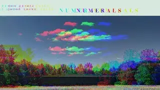 NUMERALS- Don Peretz & Jacob Sacks