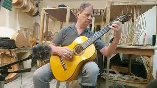 #159 Alama Classical model ft. European Spruce top with Maple back and sides Shellac finish.