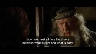 Harry Potter &lsquo;we must all face the choice between what is right and what is easy&rsquo;