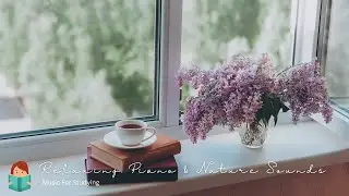 [無廣告版] 令人放鬆的琴聲和大自然音樂 ☕ 壓力釋放～FOREST NATURE SOUNDS & PIANO FOR CONCENTRATION