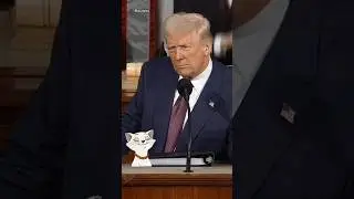 TRUMP SPEECH CLIP! The big lie.. #trump #maga #foryou #shorts #fyp
