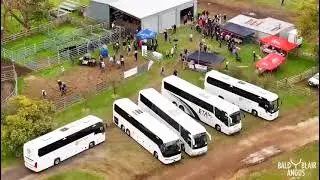 World Angus Forum visit to Bald Blair Angus May 2025