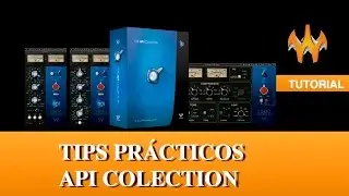 Tips Pr&aacute;cticos  API COLLECTION
