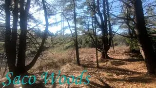 Hiking Middle Goosefare Trail Maine