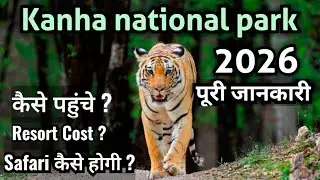 Kanha national Park Tour plan | kanha kisli Resort cost | kanha tiger reserve safari booking price