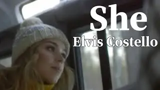 【リメイク】She／Elvis Costello cover