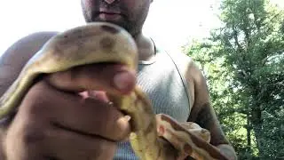 Episode 155 Outside series - Rc pastel hypo jungle