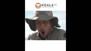 KOALA 2.0 - Chamber Ad CC