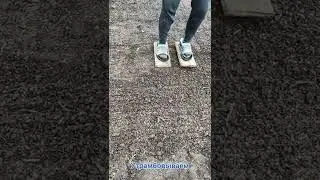 Как посадить газон своими руками. Лучший способ!