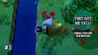 Tarantula...Island?!?! [Animal Crossing: New Horizons &bull; Ep 3]