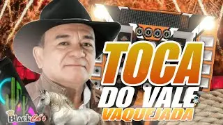 FORROZÃO DE VAQUEJADA MAIO 2025 - CD DE OURO TOCA DO VALE 2025 PRA TREMER NO PAREDÃO 2025-FORRÓ 2025