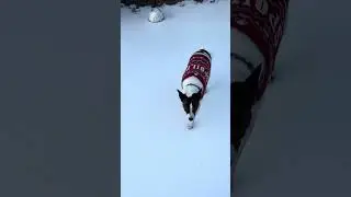 Princess on da snow and ice