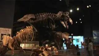 Orlando Tourism : Orlando Tourism: Science Center