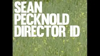 Director ID &mdash;&nbsp;Sean Pecknold