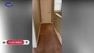 Master Odor Removal l How to Remove Bad Odor from House | Eliminate Home Odors