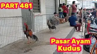 PART 481 🛑 Pasar Ayam Kudus Jawa Tengah 
