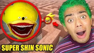 Drone Catches SUPER SHIN SONIC in a MAZE ... *SHIN SONIC IS REAL*